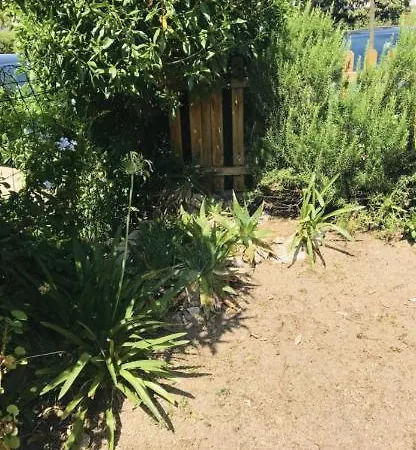 Con Giardino A 50 M Dal Mare Holiday home L'Ile-Rousse (Corsica)