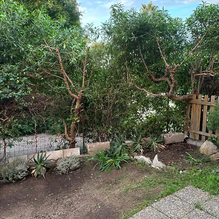 Con Giardino A 50 M Dal Mare *
