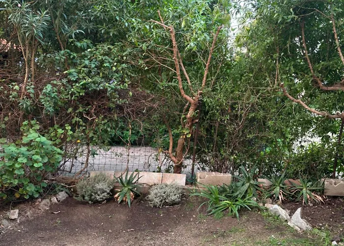 T2 A 2 Minutes A Pied De La Avec Parking Prive Vakantiehuis *